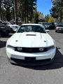 Used 2010 Ford Mustang GT image 3
