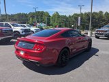 Used 2020 Ford Mustang Coupe w/ Equipment Group 101A image 4