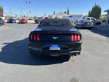 Used 2018 Ford Mustang Premium image 6