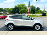 Used 2014 Ford Escape SE w/ Equipment Group 201A image 4
