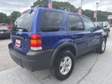 Used 2006 Ford Escape XLT image 5
