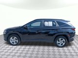 Used 2024 Hyundai Tucson SEL image 6