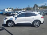 Used 2021 Ford Escape SE image 5