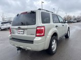 Used 2009 Ford Escape XLT image 4