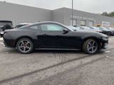 New 2025 Ford Mustang Coupe image 2