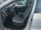 Used 2020 Ford Escape SE Sport image 4