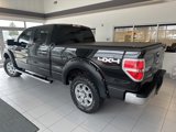 Used 2013 Ford F150 XLT image 6