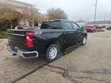 Used 2020 Chevrolet Silverado 1500 LT w/ All-Star Edition image 3