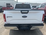 Used 2015 Ford F150 XLT w/ Equipment Group 301A Mid image 5