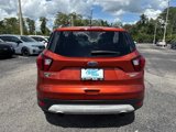 Used 2019 Ford Escape Titanium image 5