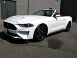 Used 2020 Ford Mustang Premium image 2