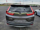Certified 2019 Honda CR-V EX image 3