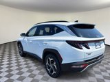 Used 2022 Hyundai Tucson Limited image 6