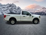 Certified 2023 Ford F150 XLT w/ Equipment Group 301A Mid image 5