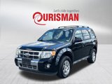 Used 2011 Ford Escape Limited w/ 302A Rapid Spec Order Code image 5