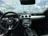 Certified 2017 Ford Mustang Premium w/ Equipment Group 201A image 3