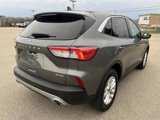 Certified 2022 Ford Escape SE w/ Convenience Package image 4