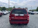 Used 2012 Ford Escape Limited image 4