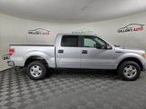 Used 2013 Ford F150 XLT w/ XLT Chrome Pkg image 4