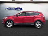 Used 2017 Ford Escape SE w/ Equipment Group 201A image 2