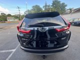 Used 2017 Honda CR-V Touring image 5