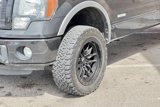 Used 2011 Ford F150 FX4 image 6