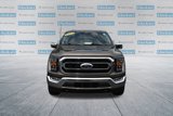 Used 2022 Ford F150 XLT w/ Equipment Group 302A High image 2