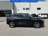 Certified 2024 Ford Escape ST-Line w/ Equipment Group 301A image 2