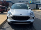 Used 2020 Ford Escape SE image 2