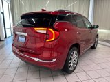 Certified 2023 GMC Terrain Denali image 6