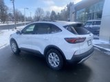 New 2025 Ford Escape Active w/ Cold Weather Package image 3