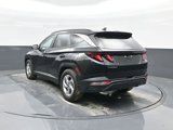 Used 2024 Hyundai Tucson SEL image 6