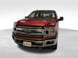 Used 2019 Ford F150 XLT w/ Equipment Group 302A Luxury image 2