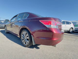 Used 2012 Honda Accord EX-L image 6