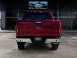 Used 2019 Ford F150 XLT w/ Equipment Group 302A Luxury image 4