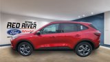 New 2025 Ford Escape ST-Line w/ Tech Pack #1 image 2