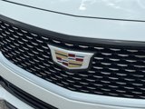 Certified 2020 Cadillac CT5 Luxury w/ Sun And Sound Package image 6