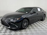 Certified 2024 Lexus ES 350 w/ Premium Package image 3
