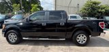 Used 2010 Ford F150 XLT image 5