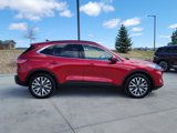 Used 2020 Ford Escape Titanium image 2