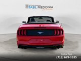 Used 2018 Ford Mustang Premium w/ Equipment Group 201A image 5