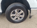 Certified 2022 Ford F150 XLT w/ Equipment Group 302A High image 2