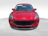 Used 2020 Ford Escape SE image 3