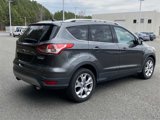Used 2016 Ford Escape Titanium image 3