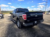 Used 2011 Ford F150 XLT w/ XLT Chrome Pkg image 5