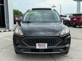 Used 2022 Ford Escape SE w/ Cold Weather Package image 2