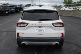 Used 2020 Ford Escape SE image 4