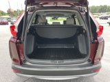 Used 2019 Honda CR-V EX-L image 6