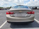 Used 2023 Chevrolet Malibu LT w/ Driver Confidence Package image 5