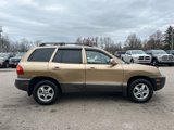 Used 2003 Hyundai Santa Fe GL image 5